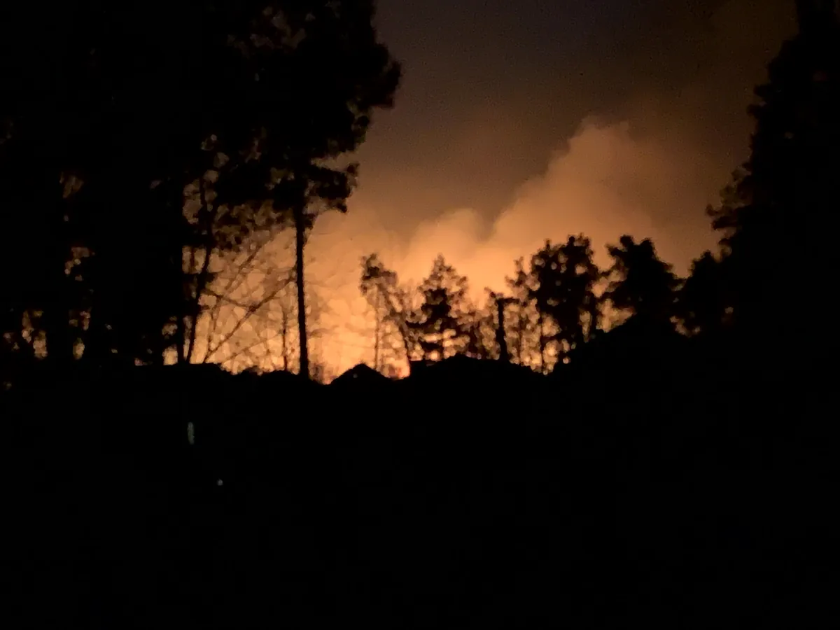 Night sky glowing orange from fires behind the trees